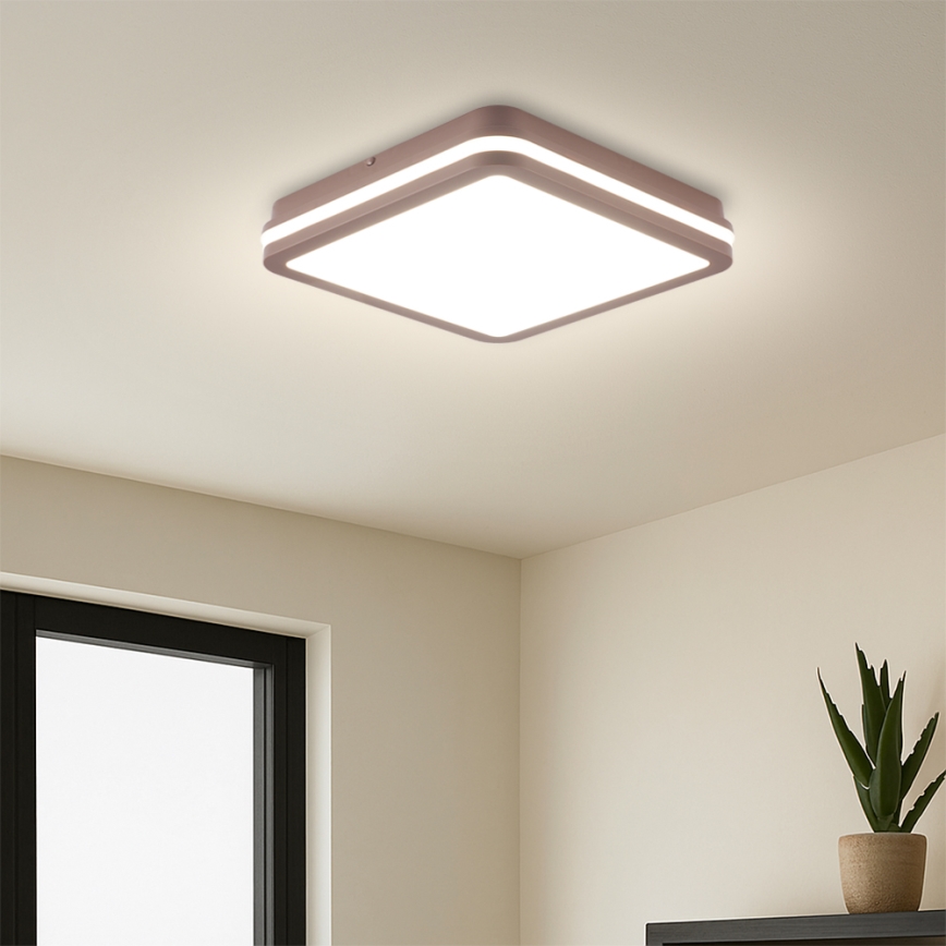 Brilagi - Plafonnier d'extérieur LED BENE LED/24W/230V 26x26 cm marron IP54