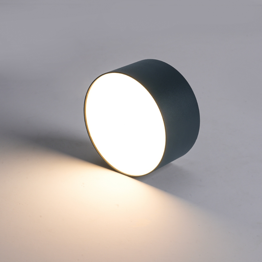 BRILAGI - Plafonnier d'extérieur LED FORIS LED/14W/230V Ø 12 cm anthracite IP44