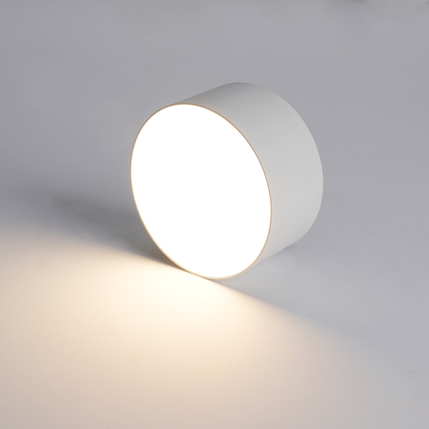 BRILAGI - LED Plafonnier d'extérieur FORIS LED/14W/230V Ø 12 cm blanc IP44