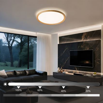 Brilagi - Plafonnier LED dimmable RIVO LED/72W/230V 3000-6000K, finition bois Ø 50 cm + télécommande