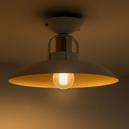 Brilagi - LED Plafonnier FLAMENGO 1xE27/60W/230V blanc