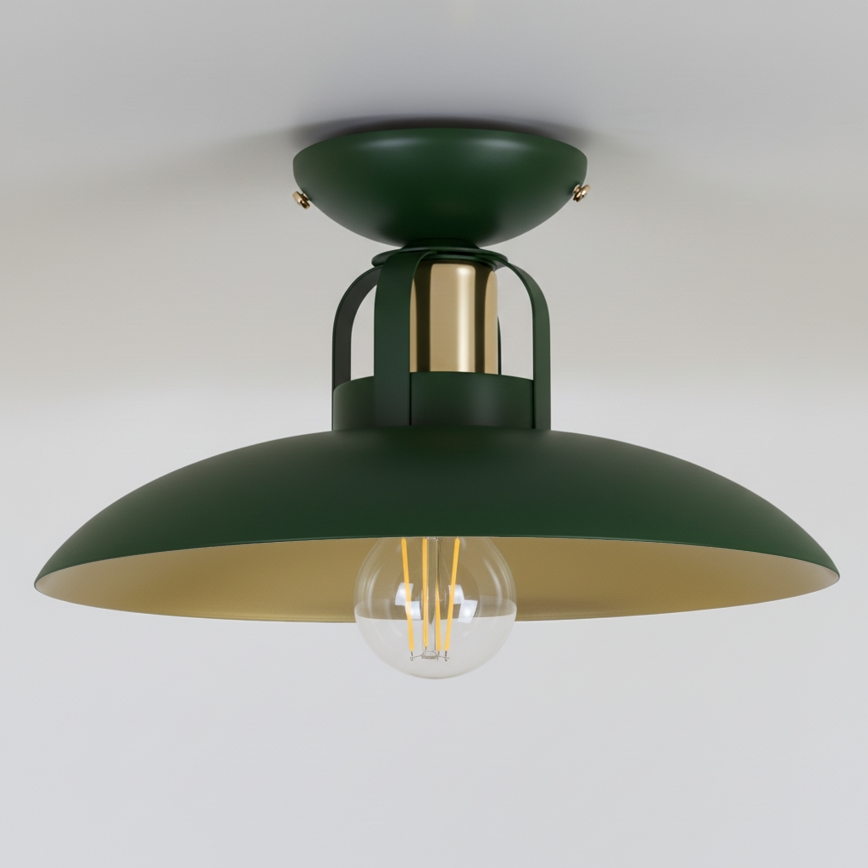 Brilagi - LED Plafonnier FLAMENGO 1xE27/60W/230V vert