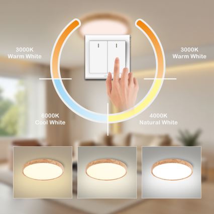 Brilagi - LED plafondlamp WOODROUND LED/30W/230V 3000/4000/6000K Ø 40 cm hout CRI 90