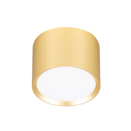 BRILAGI - LED RGB+CCT dimbare spot SMOOTH 1xGX53/14W/230V 60x82 mm 2700-6500K Wi-Fi Tuya goud