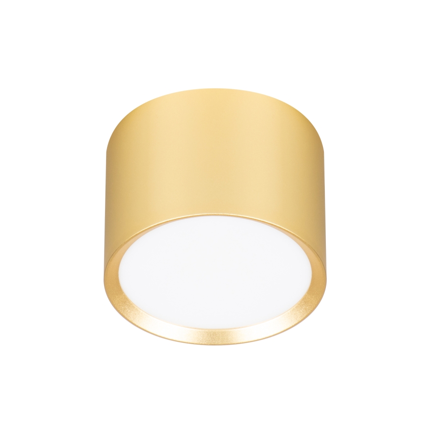 BRILAGI - LED RGB+CCT dimbare spot SMOOTH 1xGX53/14W/230V 60x82 mm 2700-6500K Wi-Fi Tuya goud
