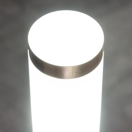 BRILAGI - Applique murale extérieure LED RGBW dimmable ELIA 1xE27/6,5W/230V 2700-6500K IP44 Wi-Fi chrome mat