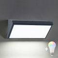 Brilagi - LED RGBW dimbare buitenwandlamp TRIANGLE 1xE27/15W/230V 2700-6500K IP65 antraciet