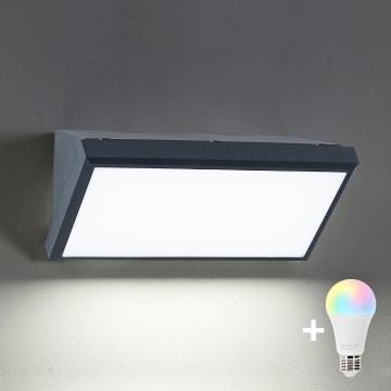 Brilagi - LED RGBW dimbare buitenwandlamp TRIANGLE 1xE27/9W/230V 2700-6500K IP65 antraciet