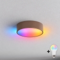 BRILAGI - LED RGBW dimbare plafondlamp CLARE 1xE27/12W/230V Ø 20 cm bruin