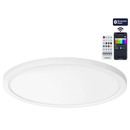 Brilagi - LED RGBW Dimbaar plafondlamp VIBE LED/24W/230V 3000-6500K Ø 26 cm wit + afstandsbediening
