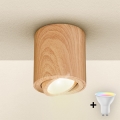 Brilagi - LED RGBW dimbare spot MIA 1xGU10/6W/230V 3000K 84x80 mm bruin + afstandsbediening