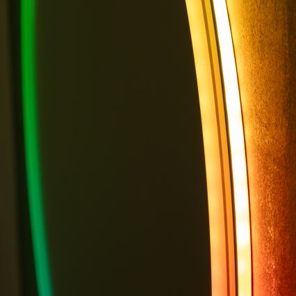 Brilagi - LED RGBW verwarmde badkamerspiegel AVA PRO LED/18W/230V Ø 60 cm IP44 CRI 90 dimbaar + CCT