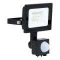 BRILAGI - LED Schijnwerper met sensor ELARA ECO LED/10W/230V IP65