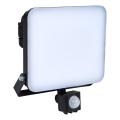 BRILAGI - LED Schijnwerper met sensor ELARA PRO LED/50W/230V IP65