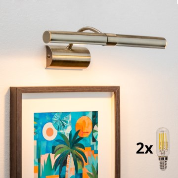 Brilagi - LED Schilderijverlichting DANAE 2xE14/4W/230V 3000K brons