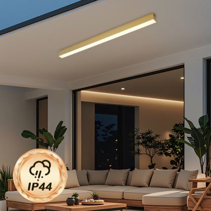 Brilagi - SLEEKLINE LED plafondlamp voor de badkamer LED/40W/230V 3000/4500/6000K goudkleurig IP44