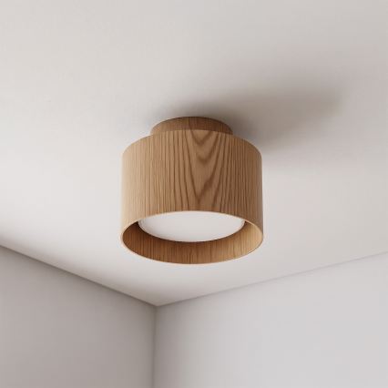 BRILAGI - LED-spot BACKLIT 1xGX53/15W/230V + LED/3W Ø 10 cm eikendecor