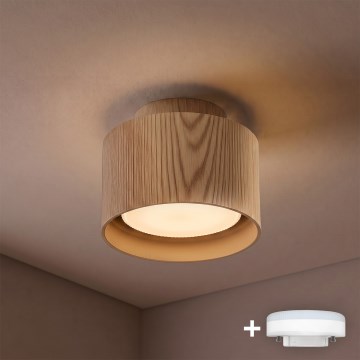 BRILAGI - LED-spot BACKLIT 1xGX53/15W/230V + LED/3W Ø 10 cm eikendecor