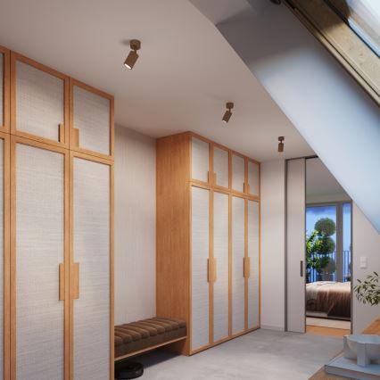 Brilagi - LED-spot CRESTO 1xGU10/10W/230V bruin