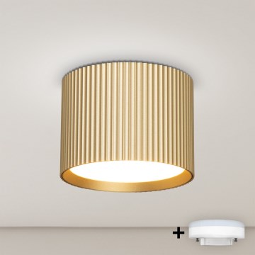 BRILAGI - LED Spot STRIPY 1xGX53/15W/230V 60x82 mm doré