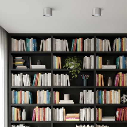 Brilagi - LED Spotlamp STRIPY 1xGX53/15W/230V zilverkleurig