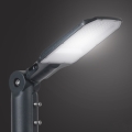 Brilagi - LED straatlamp URBANLIGHT LED/50W/230V antraciet IP65