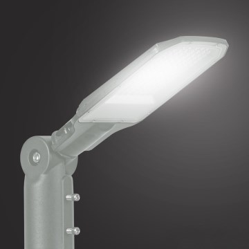 Brilagi - LED straatlamp voor buiten URBANLIGHT LED/50W/230V grijs IP65
