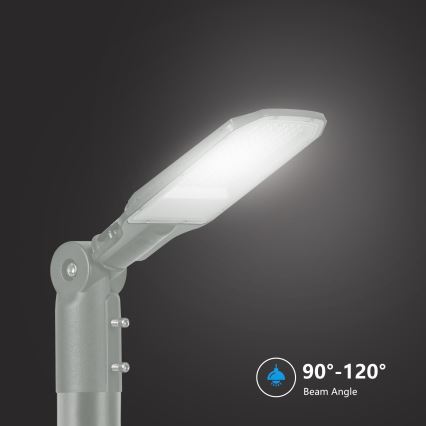 Brilagi - LED straatlamp voor buiten URBANLIGHT LED/50W/230V grijs IP65