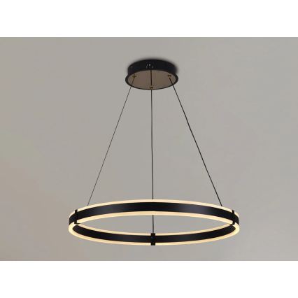 Brilagi - Suspension dimmable sur câble CIRCLE LED/85W/230V 3000-6500K Ø 60 cm noir/doré + télécommande