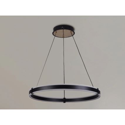 Brilagi - Suspension dimmable sur câble CIRCLE LED/85W/230V 3000-6500K Ø 60 cm noir/doré + télécommande