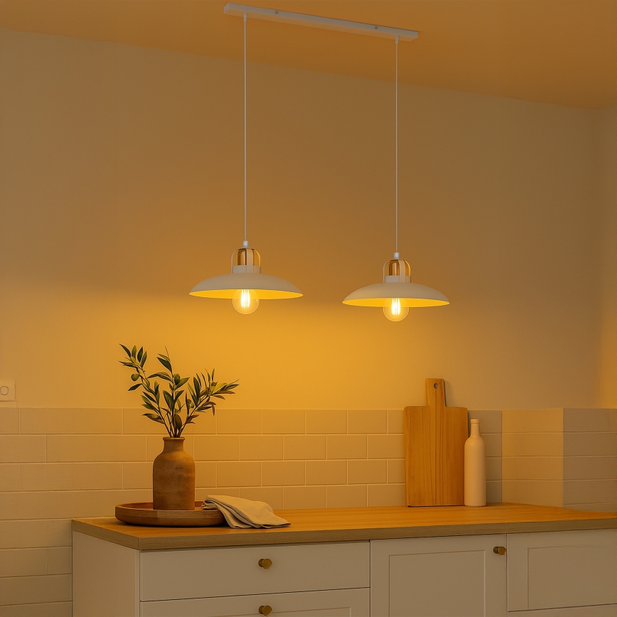 Brilagi - LED Suspension filaire FLAMENGO 2xE27/60W/230V blanc