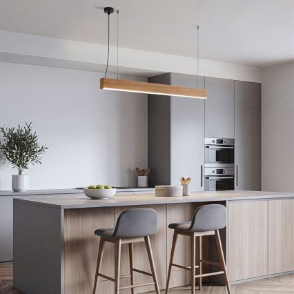 BRILAGI - LED Suspension sur câble GARDALINE LED/100W/230V chêne
