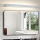 Brilagi - LED-verlichting voor badkamerspiegels AQUA LINE LED/24W/230V 90 cm IP44 mat chroom