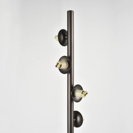 Brilagi - LED vloerlamp MILLA 7xG9/3W/230V bruin/rookbruin