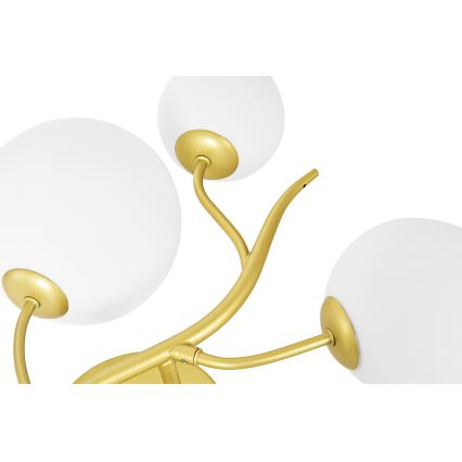 Brilagi - LED wand verlichting MISTEL 3xG9/3W/230V goud/wit