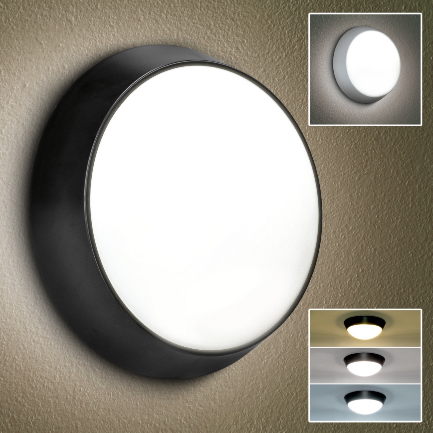 Brilagi - LED Wandlamp voor buiten 2in1 BULKHEAD LED/20W/230V 3000/4000/6000K IP65