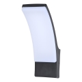 Brilagi - LED Wandlamp voor buiten ARCELO LED/9W/230V IP44
