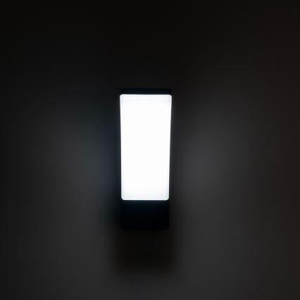 Brilagi - LED Wandlamp voor buiten ARCELO LED/9W/230V IP44