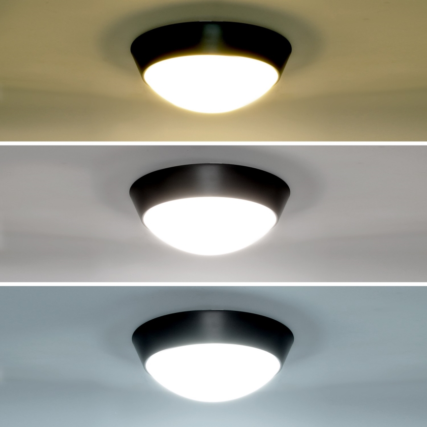 Brilagi - LED Wandlamp voor buiten 2in1 BULKHEAD LED/20W/230V 3000/4000/6000K IP65