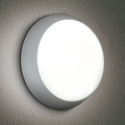 Brilagi - LED Wandlamp voor buiten 2in1 BULKHEAD LED/20W/230V 3000/4000/6000K IP65