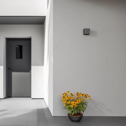 Brilagi - LED Wandlamp voor buiten CUBE LED/6W/230V antraciet IP54