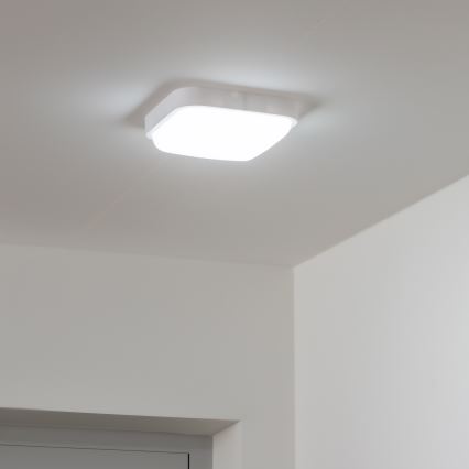 Brilagi - LED Wandlamp voor buiten LED/20W/230V IP54
