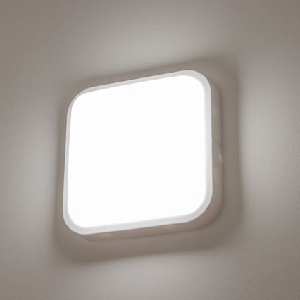 Brilagi - LED Wandlamp voor buiten LED/20W/230V IP54