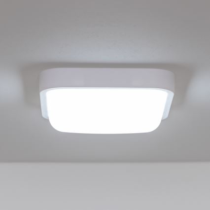 Brilagi - LED Wandlamp voor buiten LED/20W/230V IP54