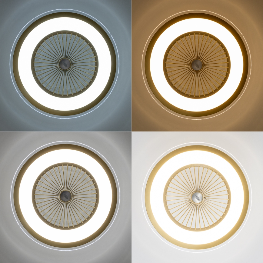 Brilagi - Luminaire à intensité variable avec ventilateur RONDA LED/48W/230V 3000-6000K doré + télécommande