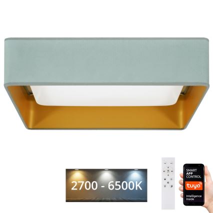Brilagi - Plafonnier à intensité variable VELVET SQUARE SMART LED/36W/230V 2700-6500K Wi-Fi Tuya + télécommande menthe