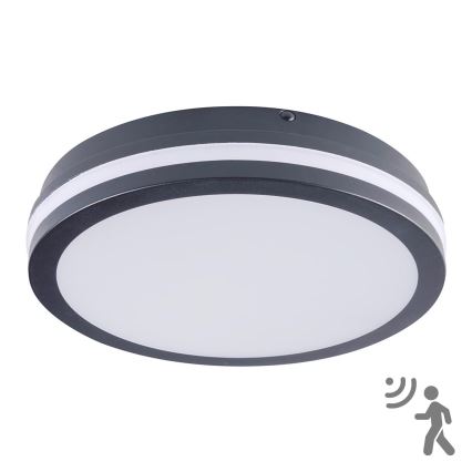Brilagi - Luminaire d'extérieur LED avec détecteur BENE LED/24W/230V Ø 26 cm anthracite IP54