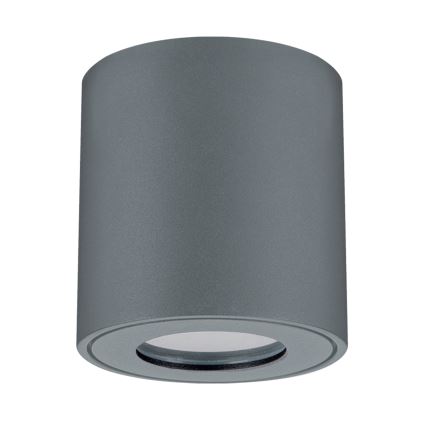 Brilagi - Luminaire extérieur LED RGBW dimmable MIA 1xGU10/30W/230V 3000K Wi-Fi 84x80 mm anthracite IP54