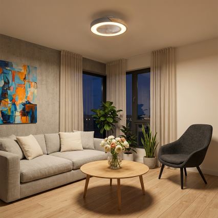 Brilagi - Plafonnier LED dimmable avec ventilateur LED/38W/230V 3000-6500K Ø 50 cm gris/chêne + télécommande