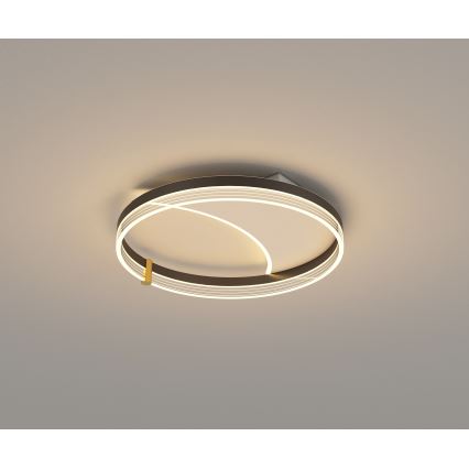 Brilagi - Plafonnier LED dimmable SIRELI LED/47W/230V 3000-6000K Ø 40 cm + télécommande